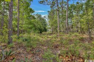 Lot 5 Society Rd.