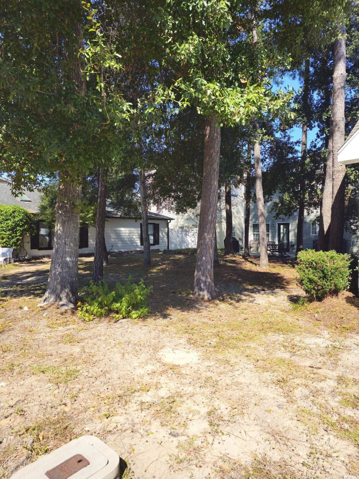 Image 1: View of yard
