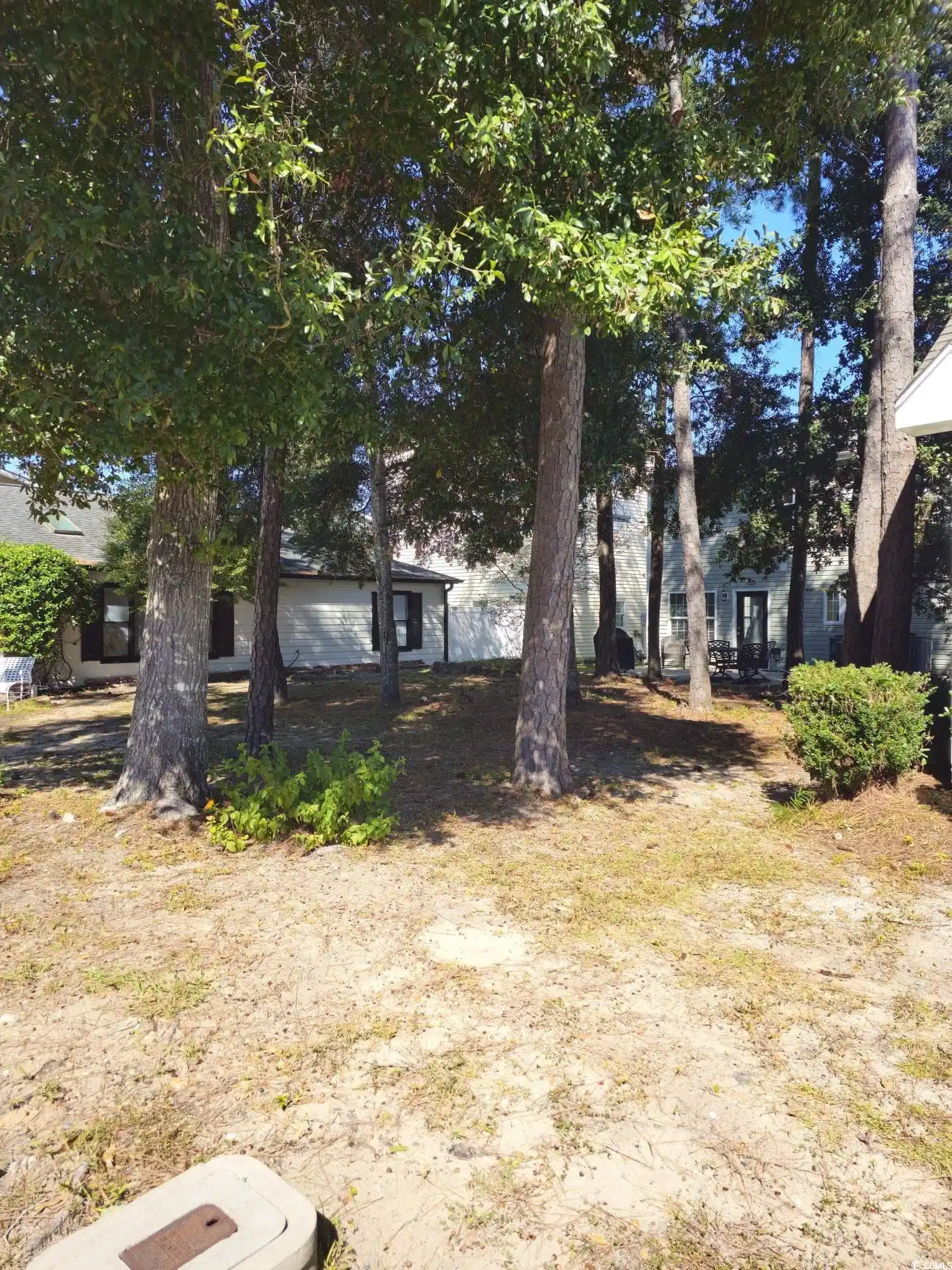 Image 1: View of yard