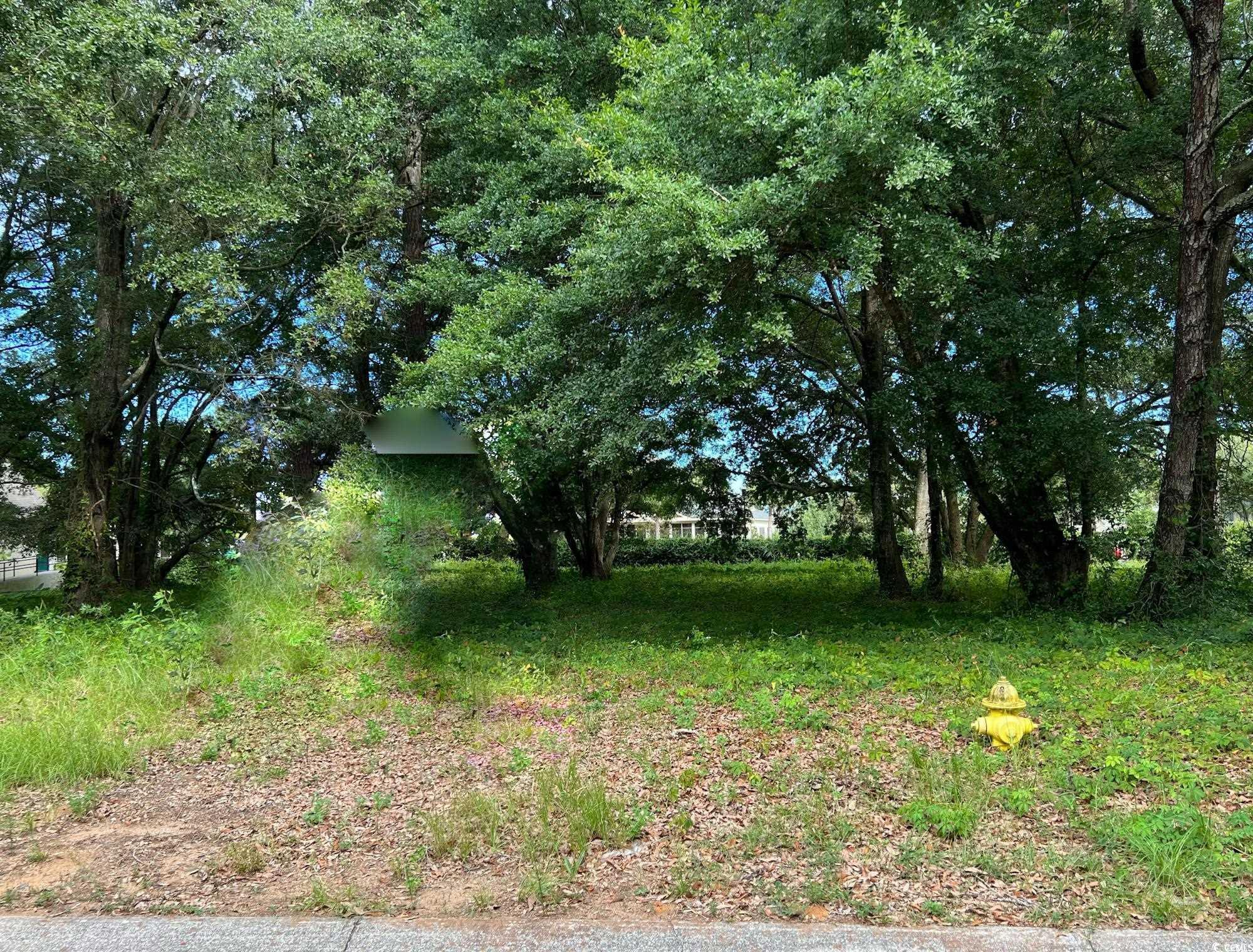 Image 2 Image 2