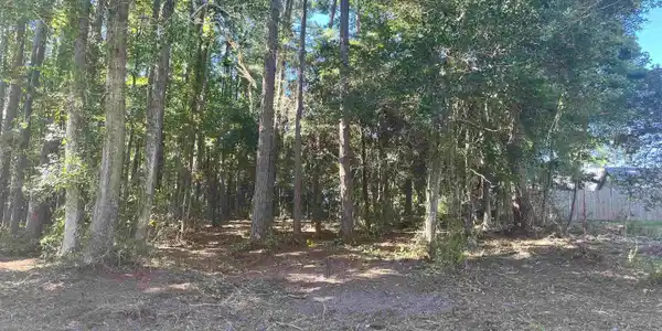 Lot 7 Luck Ave.