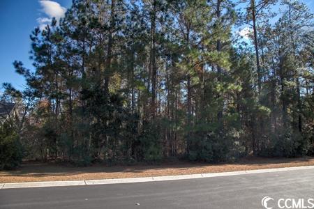 172 Low Country Loop