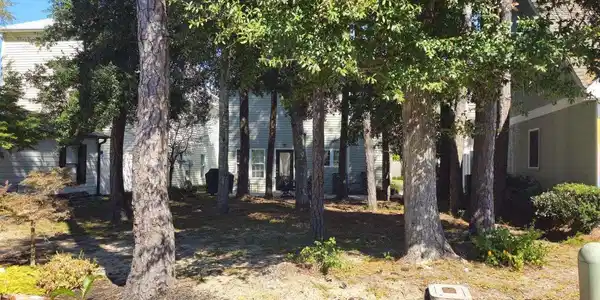Image 2: View of property hidden behind natural elements