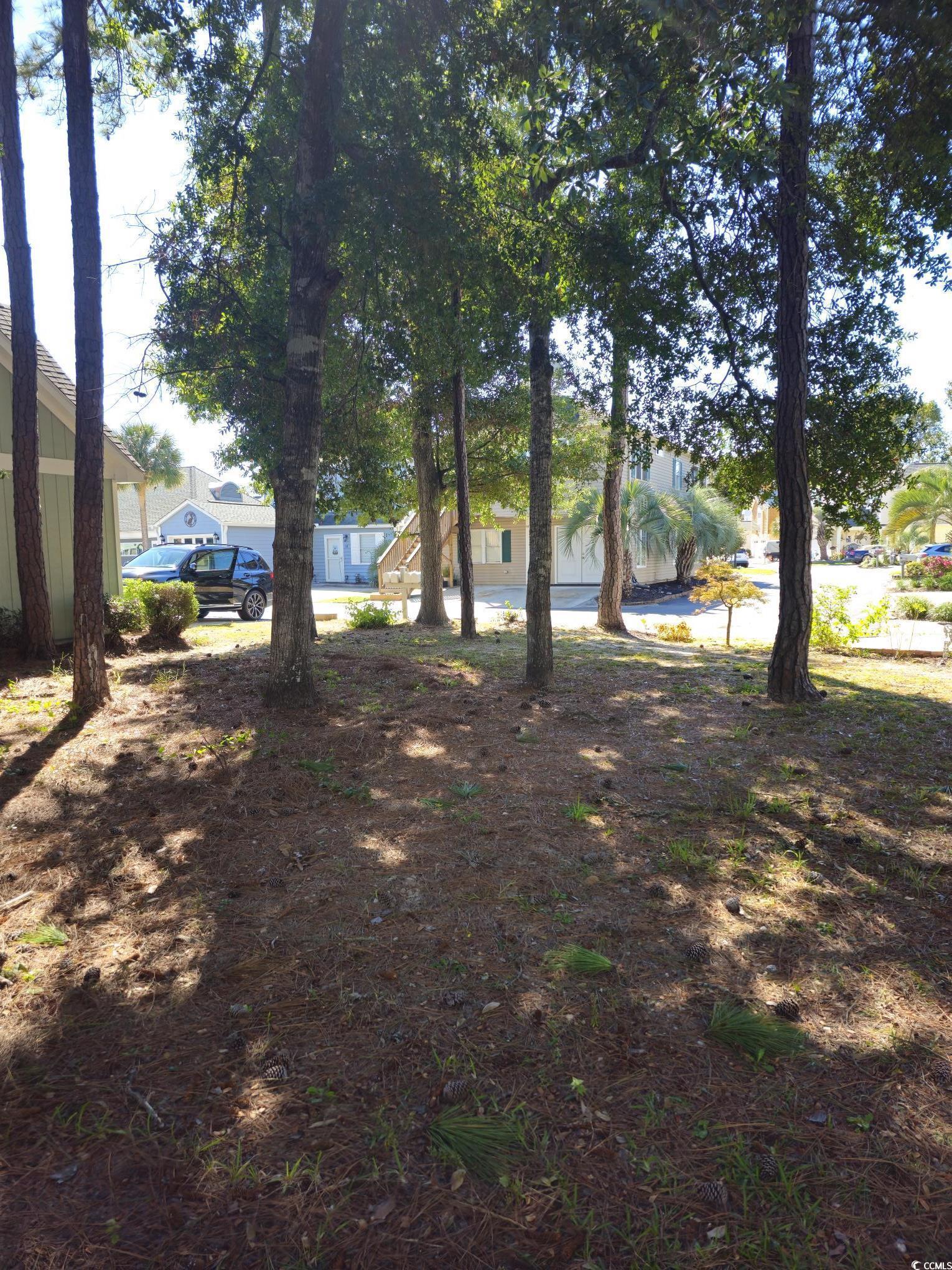 Image 3: View of yard