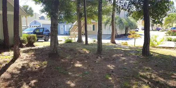 Image 3: View of yard