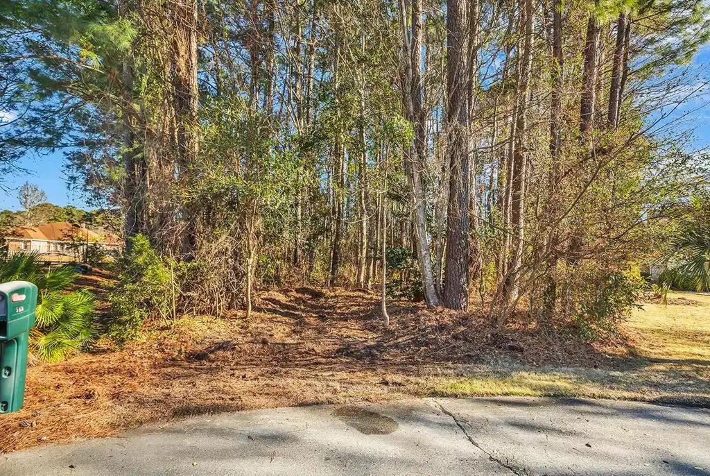 Image 1 Image 1