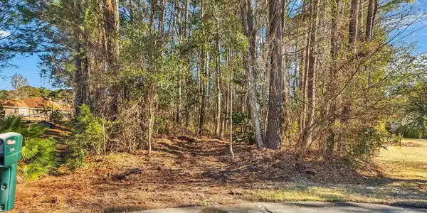 513 Reedy River Rd.