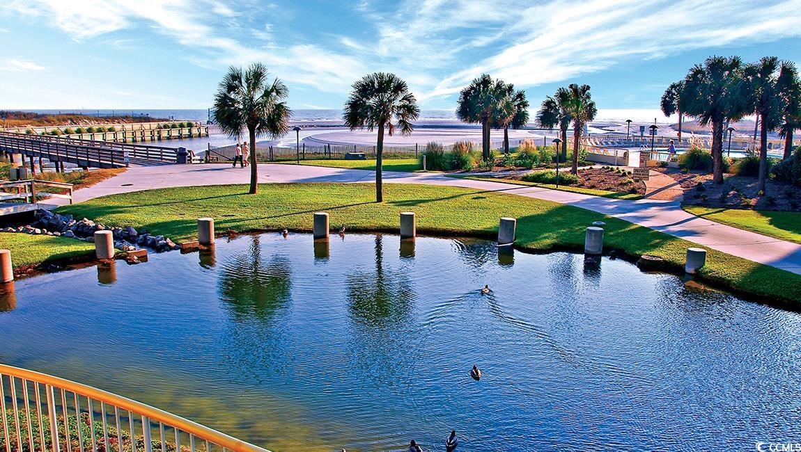 Image 4: Water view