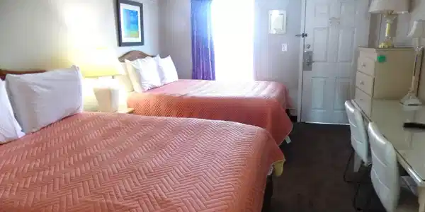 Image 2 Image 2