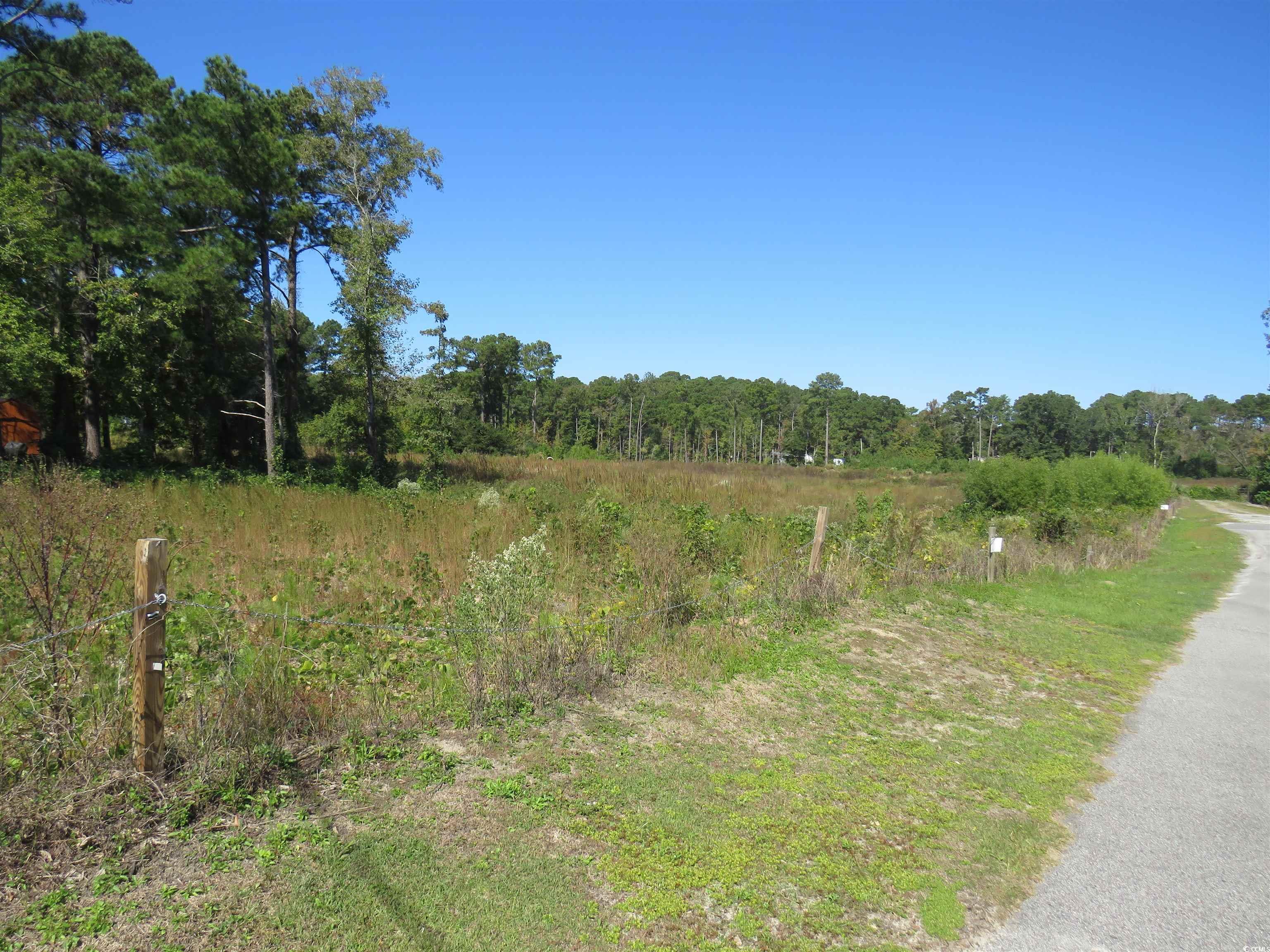 Image 1: View of woods Image 1: View of woods