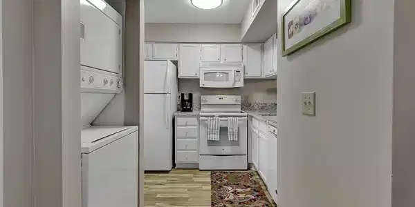 Image 4 Image 4