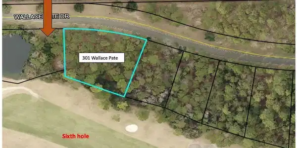 Lot 301 Wallace Pate Dr.