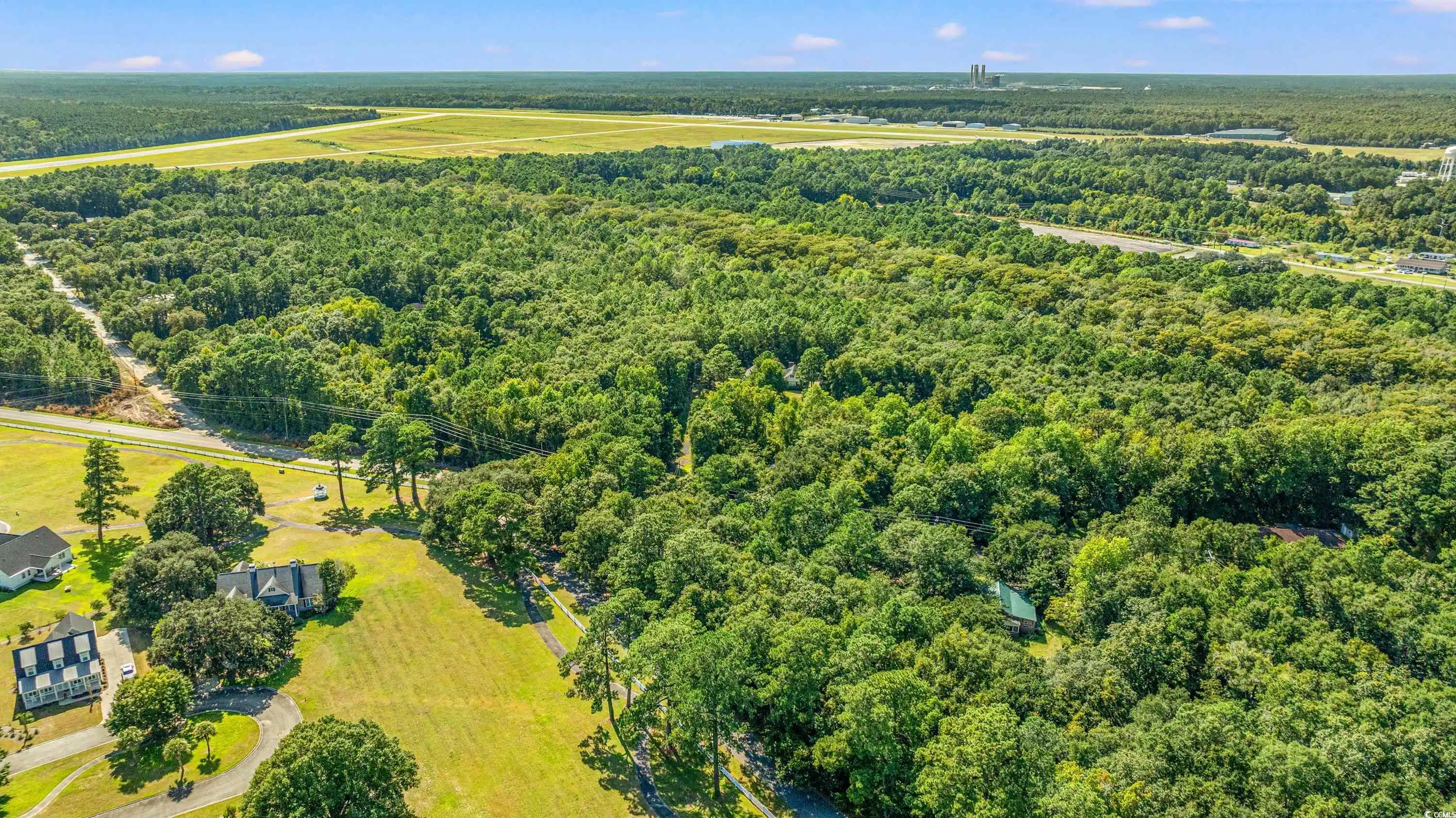 Image 1: Bird's eye view of a forest