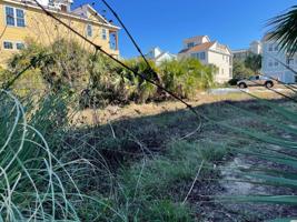 80 Rookery Trail
