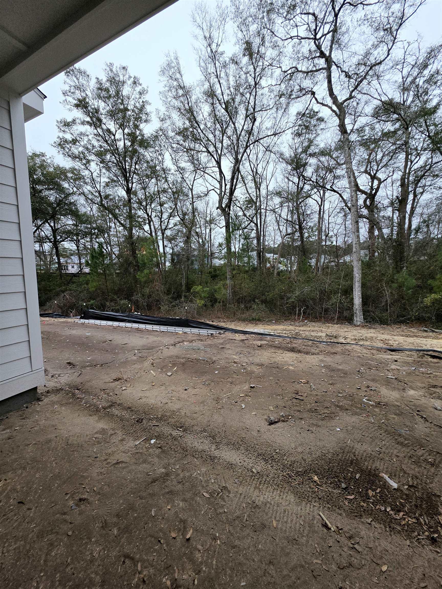 Image 4: View of yard