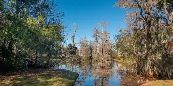 Image 4: Water view featuring a forest Image 4: Water view featuring a forest