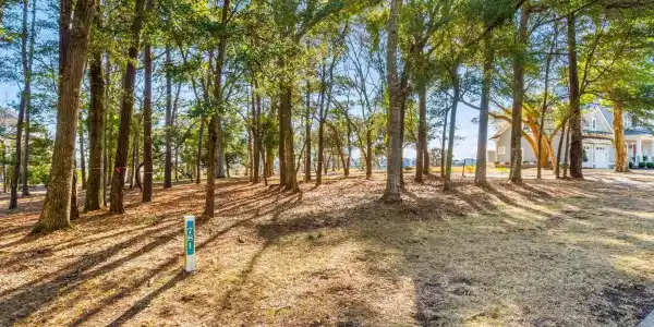 5102 Bucks Bluff Dr.