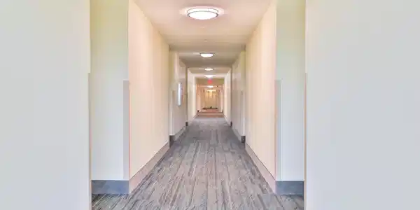 Image 3 Image 3