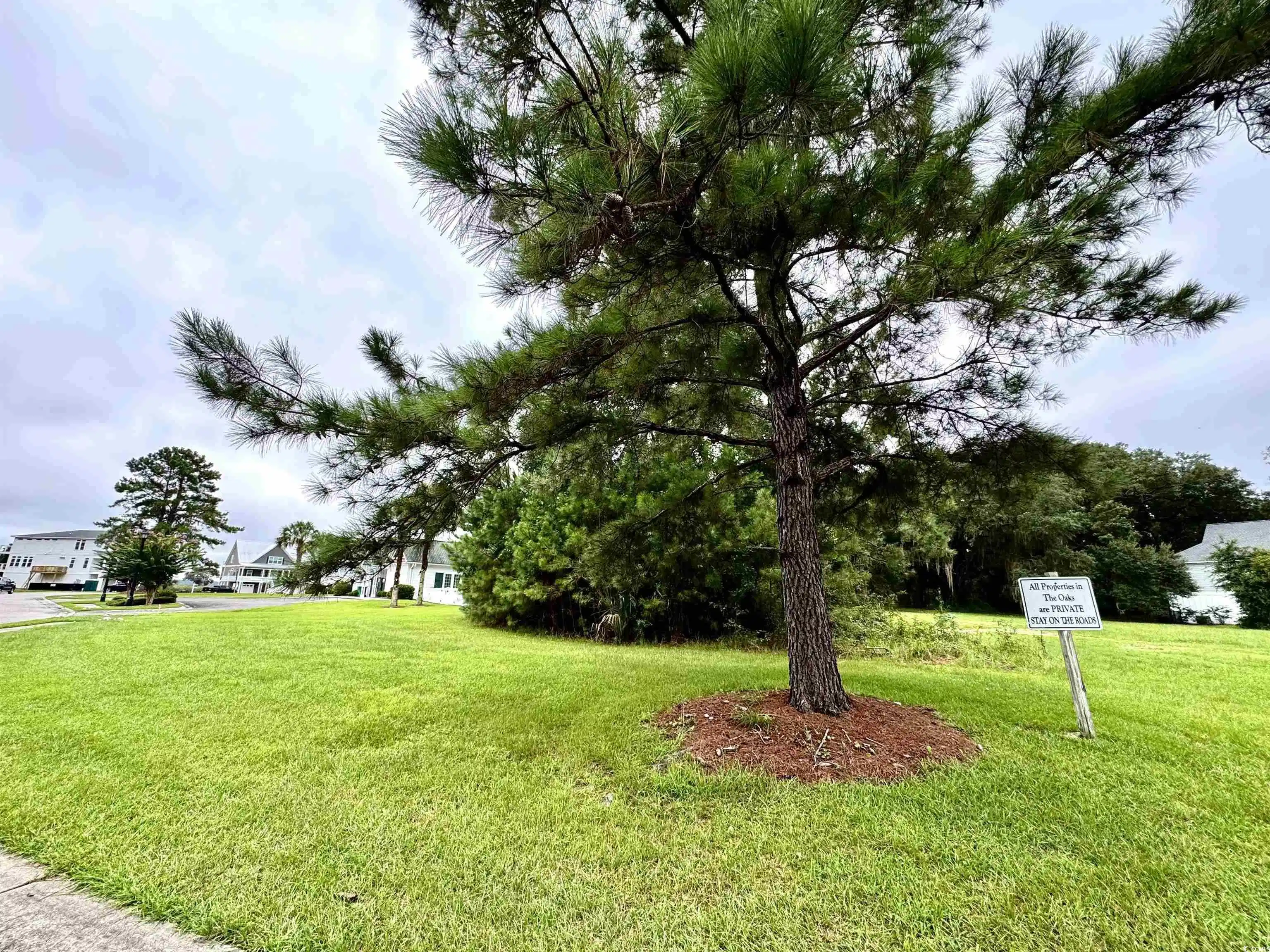 Image 1: View of green lawn Image 1: View of green lawn