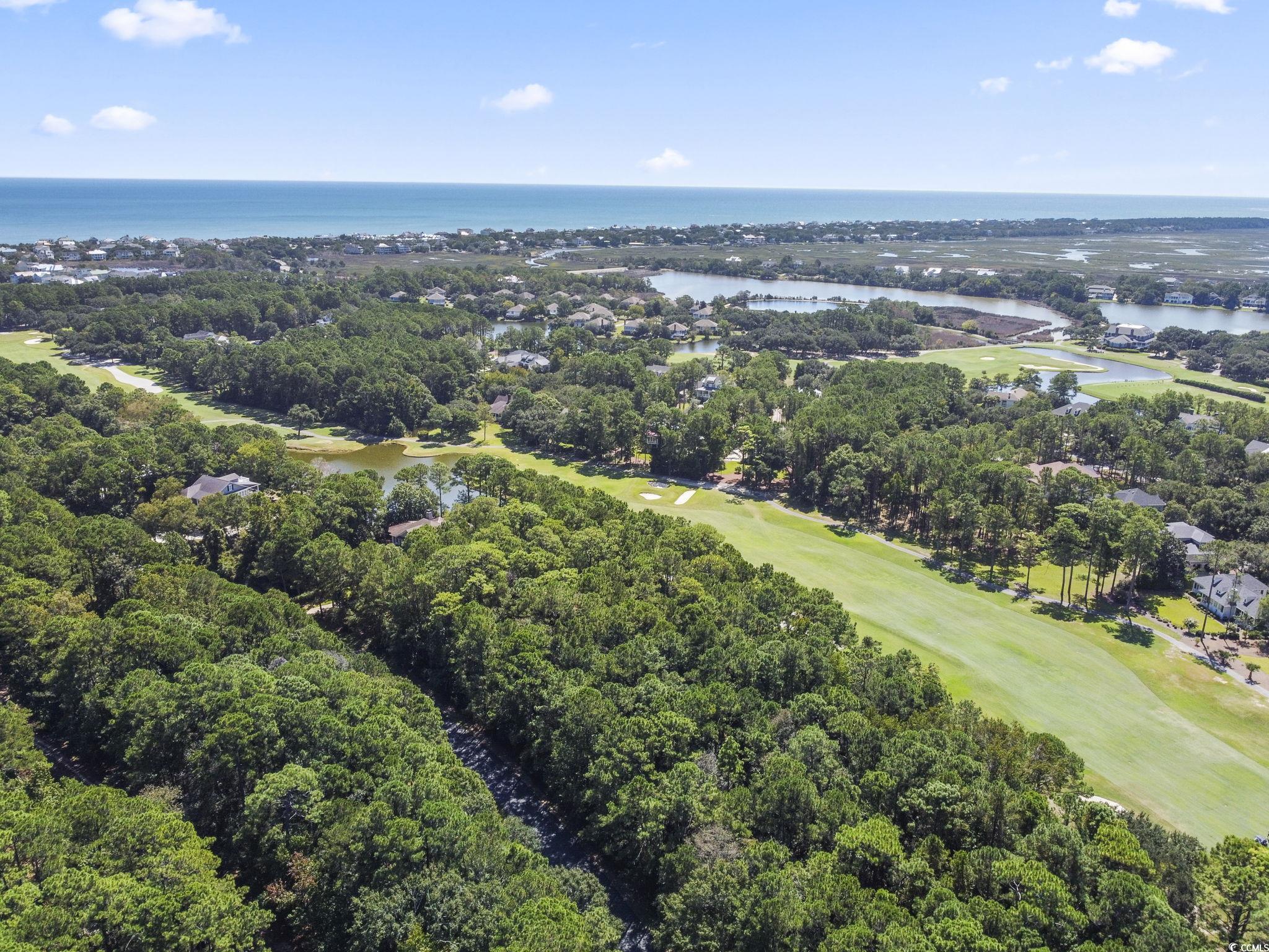 Image 3: Aerial view of a large body of water and a golf co