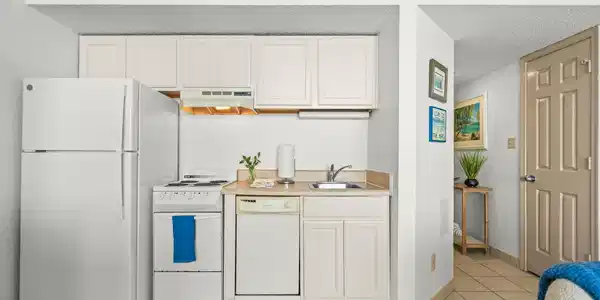 Image 4 Image 4