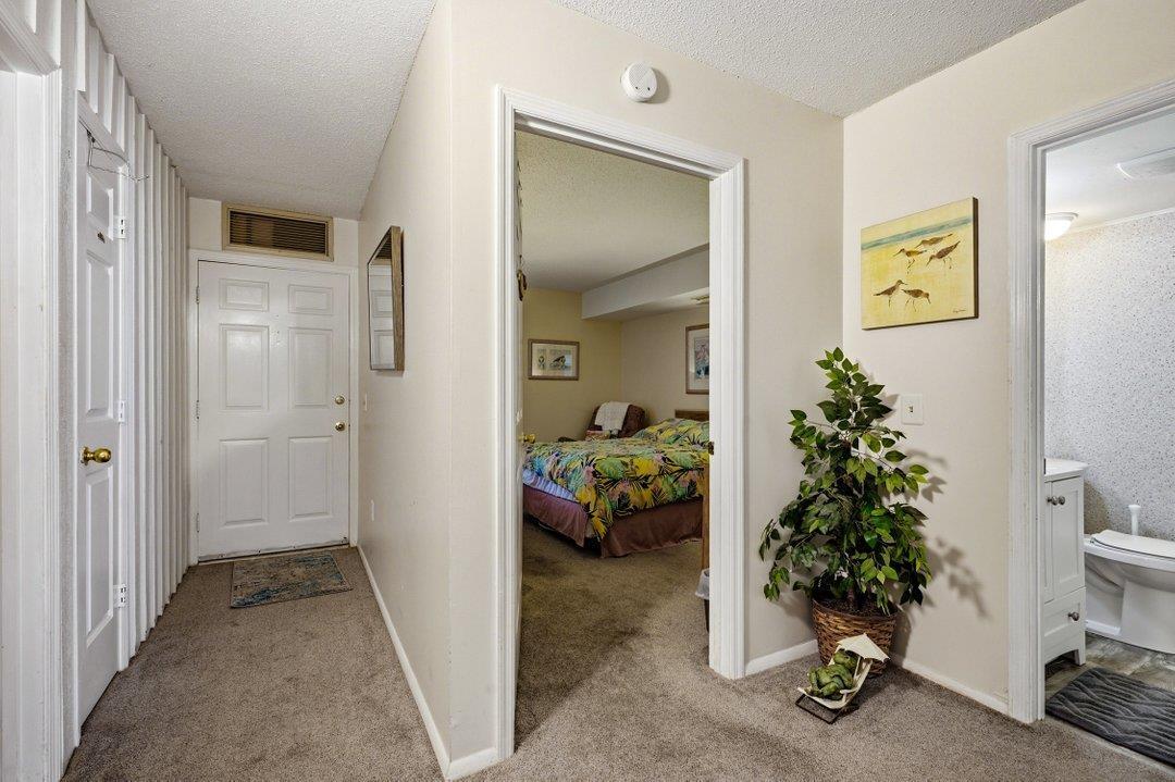 Image 3 Image 3
