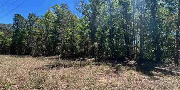 Image 4 Image 4
