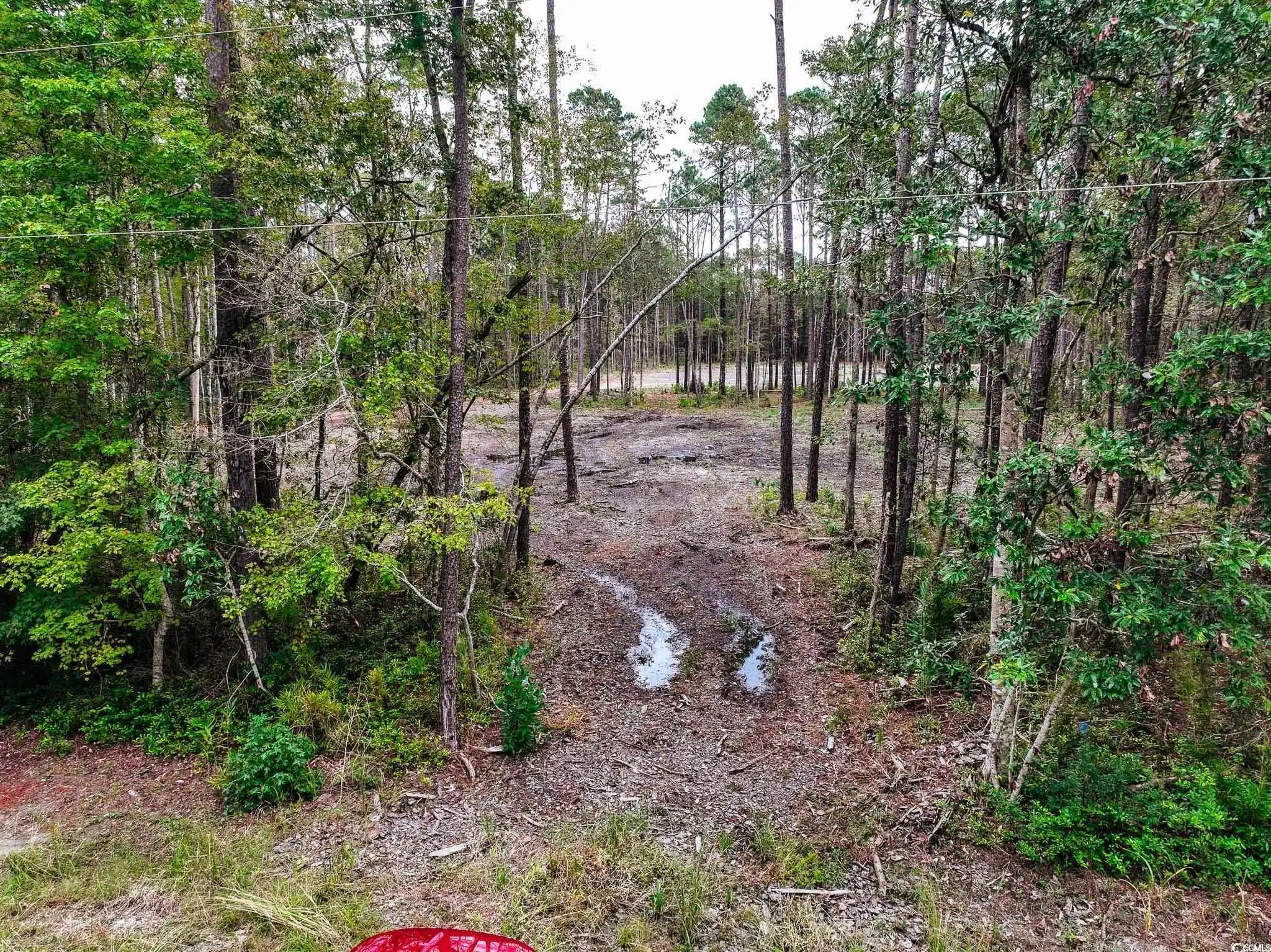 Image 1: View of the site from Hwy 50 Image 1: View of the site from Hwy 50