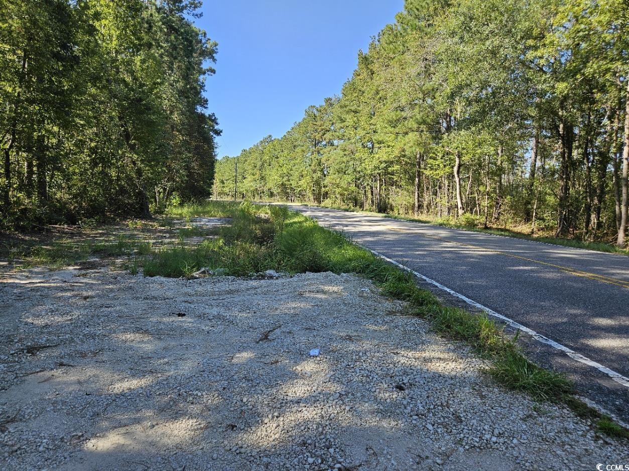 Image 4: View of Hwy 50 from easement.