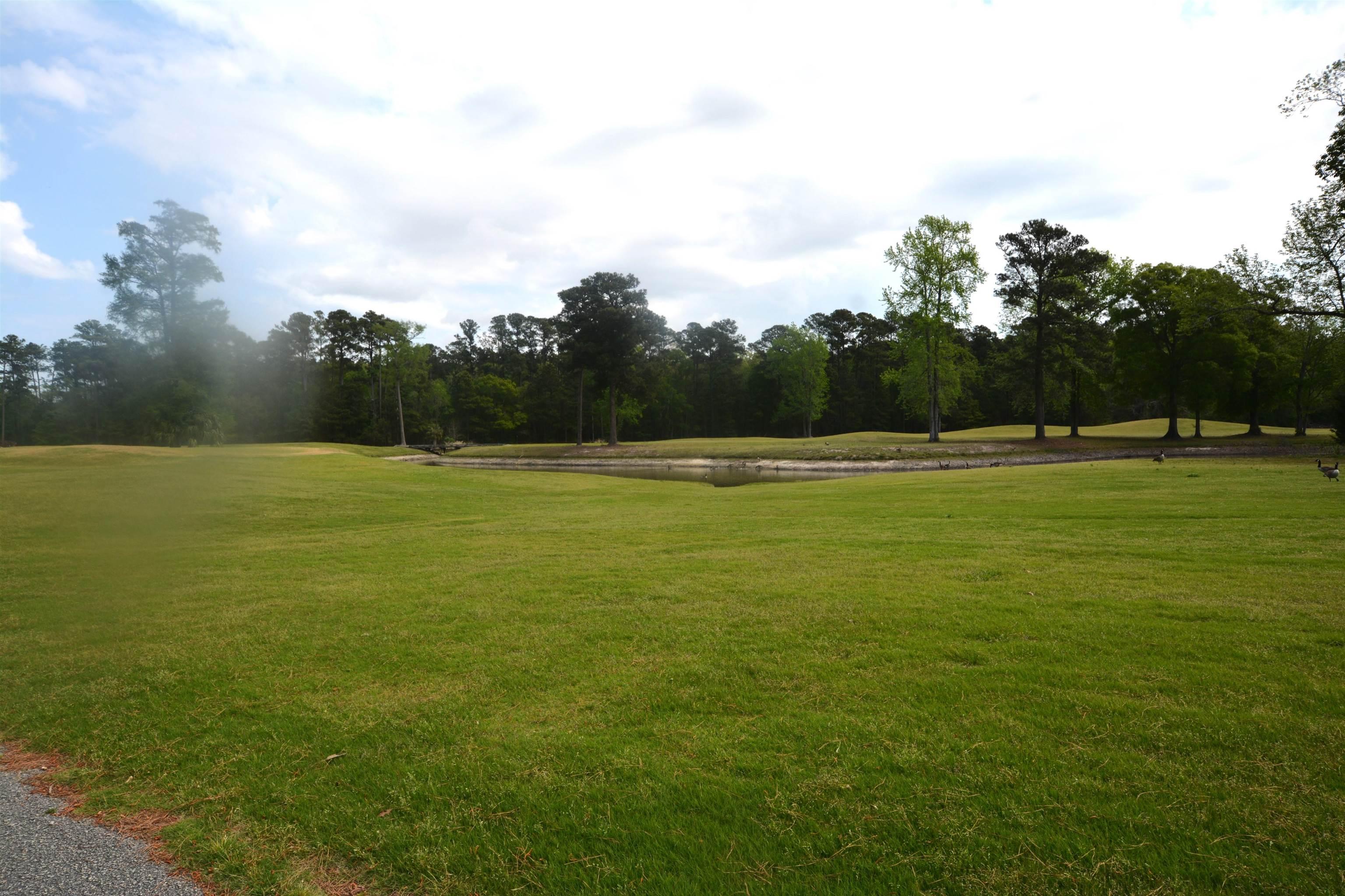 Image 4 Image 4