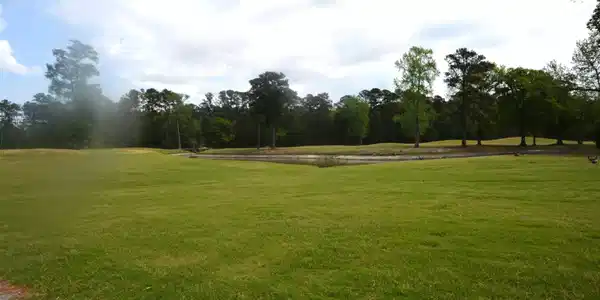 Image 4 Image 4