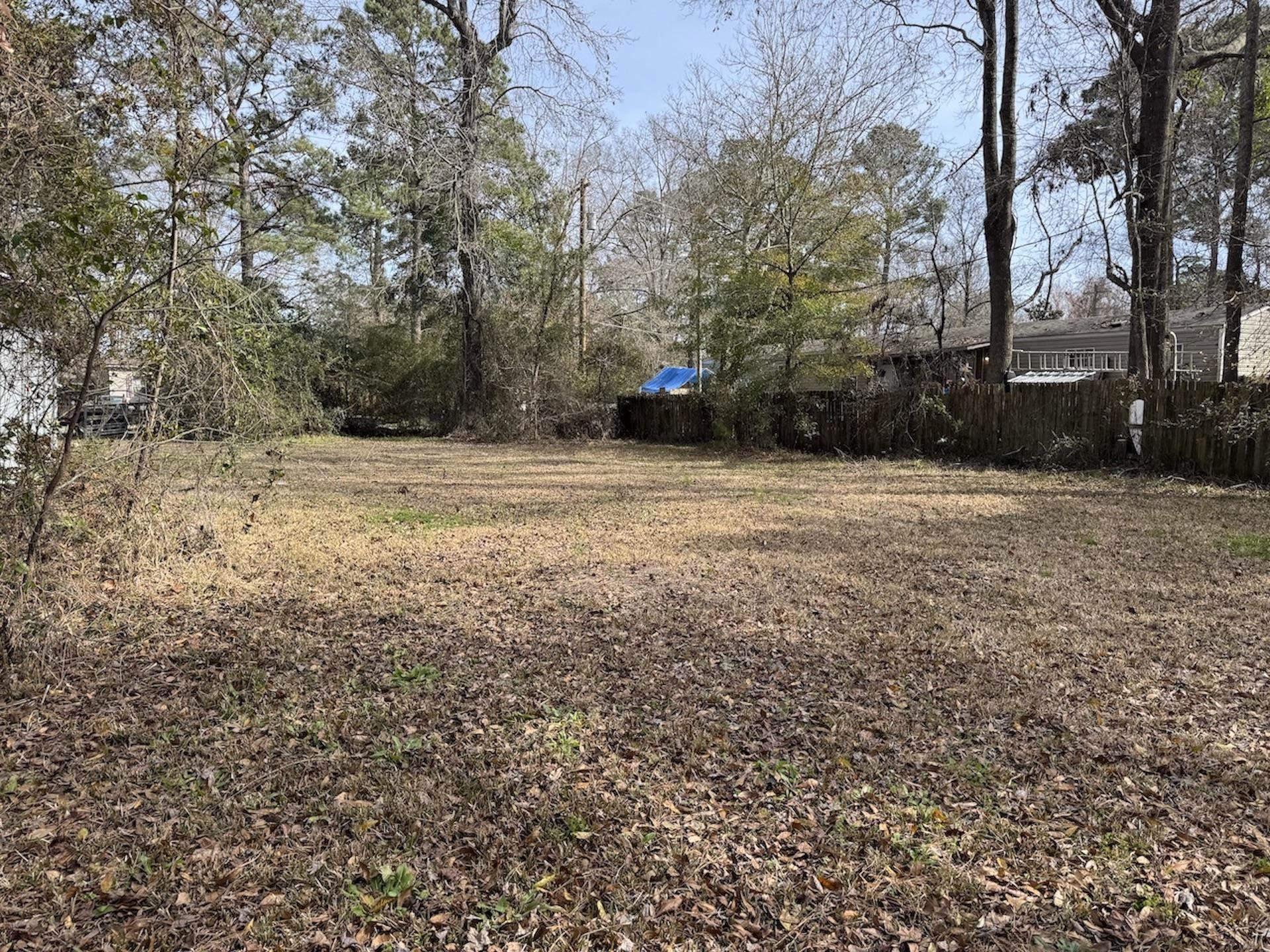 Image 1 Image 1