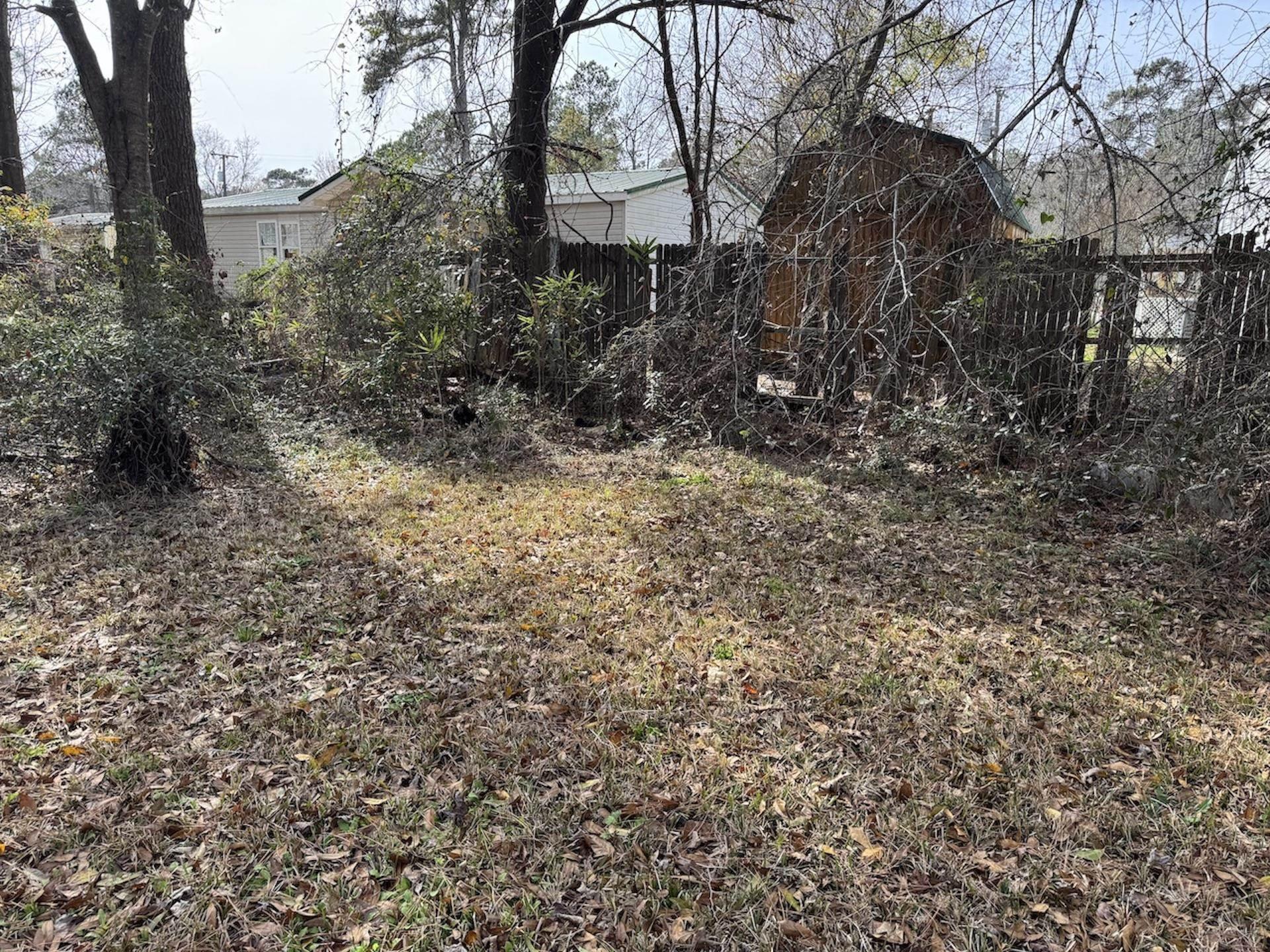Image 2 Image 2