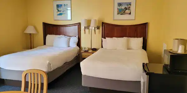 Image 2: Bedroom with carpet floors