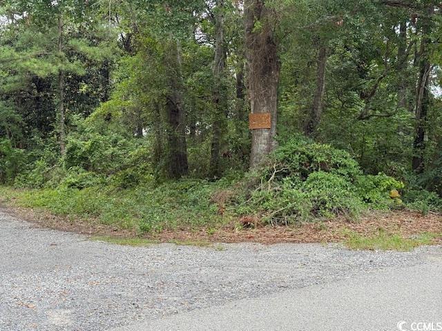 Image 4: View of wooded area Image 4: View of wooded area