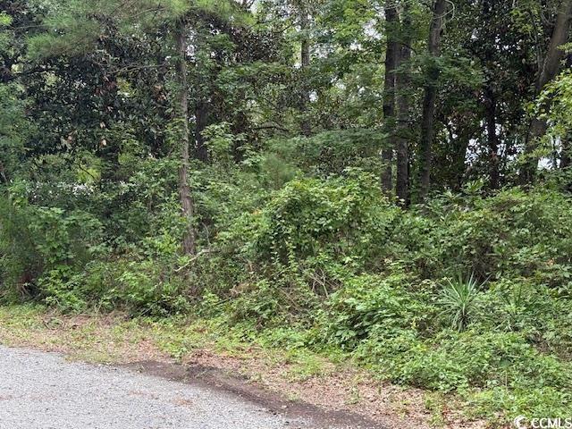 Image 2: View of tree filled area