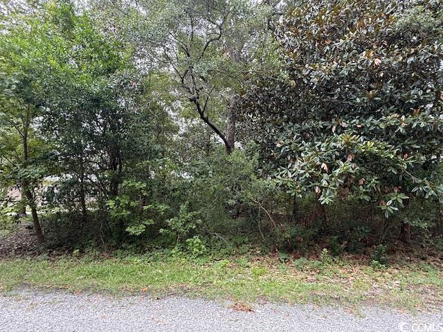 Image 3: View of undeveloped land