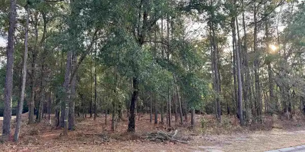 Lot 63 Preservation Circle