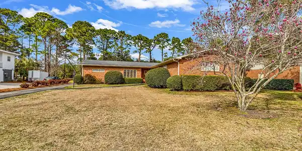 98 Forest Loop