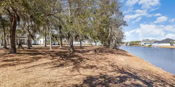 1003 Tarpon Pond Rd.