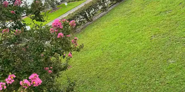 Image 3 Image 3