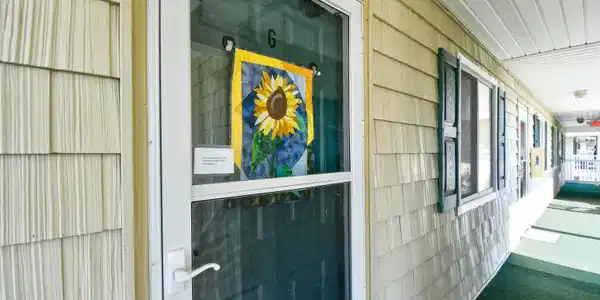 Image 4 Image 4