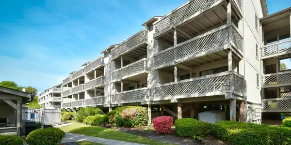 Image 3 Image 3