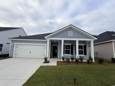 3354 Wood Stork Dr.