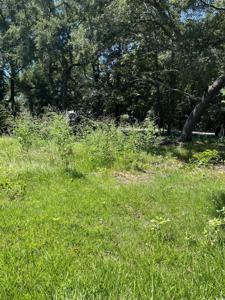 361 Sea Marsh Rd.