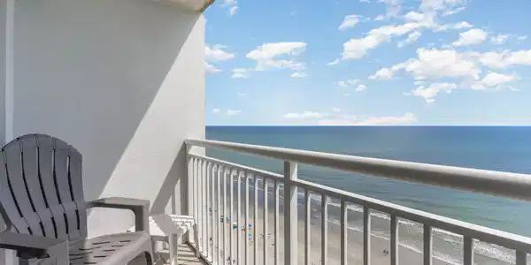 Image 2 Image 2