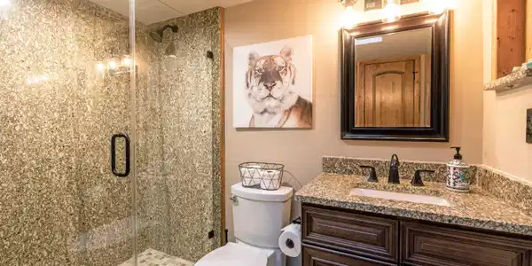 Image 4: Full bath with a stall shower and vanity