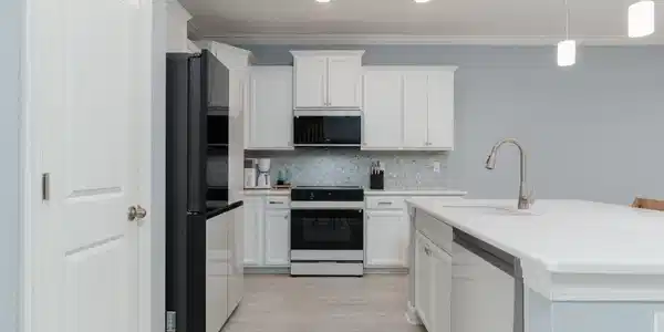 Image 4 Image 4