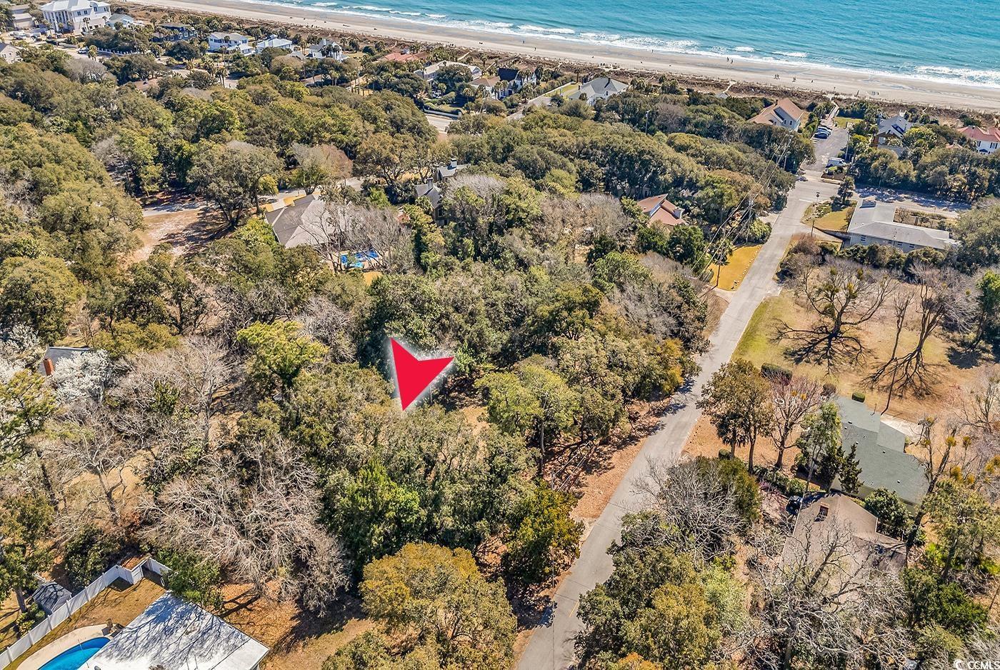 Image 2: Bird's eye view with a view of the beach and a wat