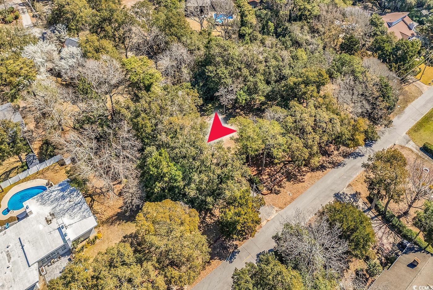 Image 3: Bird's eye view